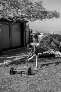 grayscale photography of robot man holding reel mower 200x300 - grayscale photography of robot man holding reel mower
